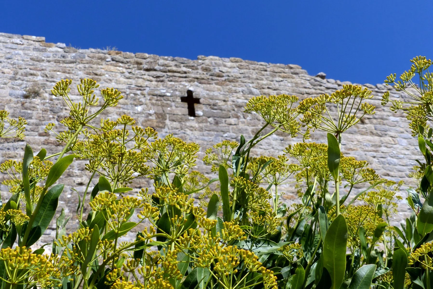 Vue aérienne drone Termes château cathare